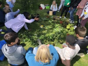 Tree Mandala IW - Limerick Educate Together Limerick 